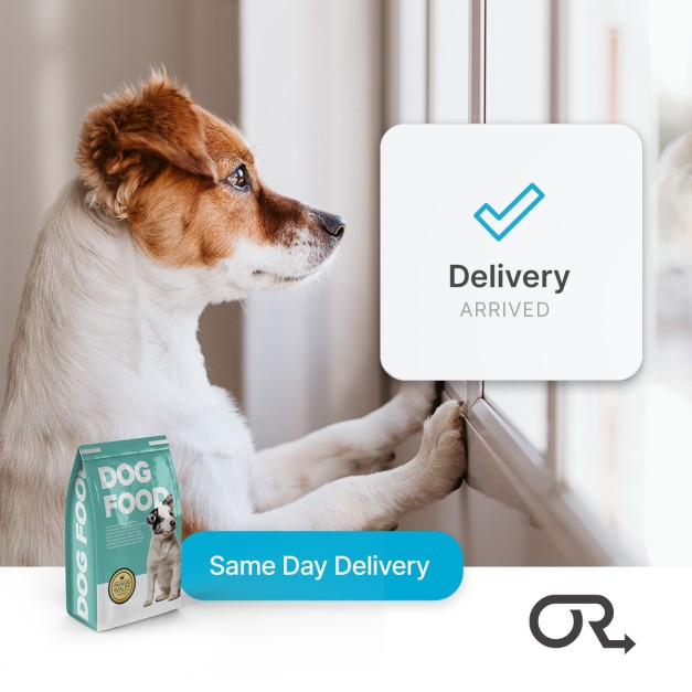 Same day best sale pet food delivery