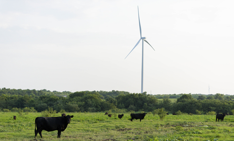 Airgas, an Air Liquide company, is purchasing wind power for an Air Separation Unit (ASU) in Cleburne, Texas, outside of Dallas, making it the first Airgas primary production unit to be powered with an energy mix that includes locally sourced renewable energy. (NextEra image)