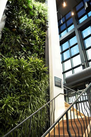 Lakeview Village Discovery Centre Living Wall. Photographed by Nation Wong Photography, provided by Lakeview Community Partners Limited. (Photo: Business Wire)