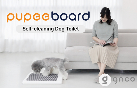 PUPEE BOARD, a brand new smart self-cleaning dog potty, will be launched on INDIEGOGO. PUPEE BOARD will be available for pre-order starting on April 20th. Detailed information on PUPEE BOARD is on https://www.youtube.com/watch?v=0O_PxLWtjxQ. (Graphic: Business Wire)