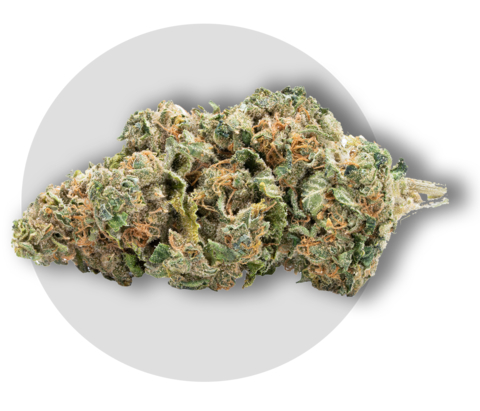 Akanda will benefit from the genetics library available from Flowr, including its award-winning BC Pink Kush, BC Black Cherry and BC Strawnana as well as certain new exotic genetics that will be exported to Portugal from Canada. Pictured: Strawberry Banana strain. (Photo: Business Wire)