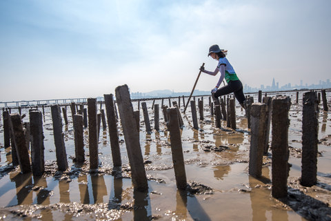 thumbnail Building Hong Kong's first pilot oyster reef ©Kyle Obermann for The Nature Conservancy