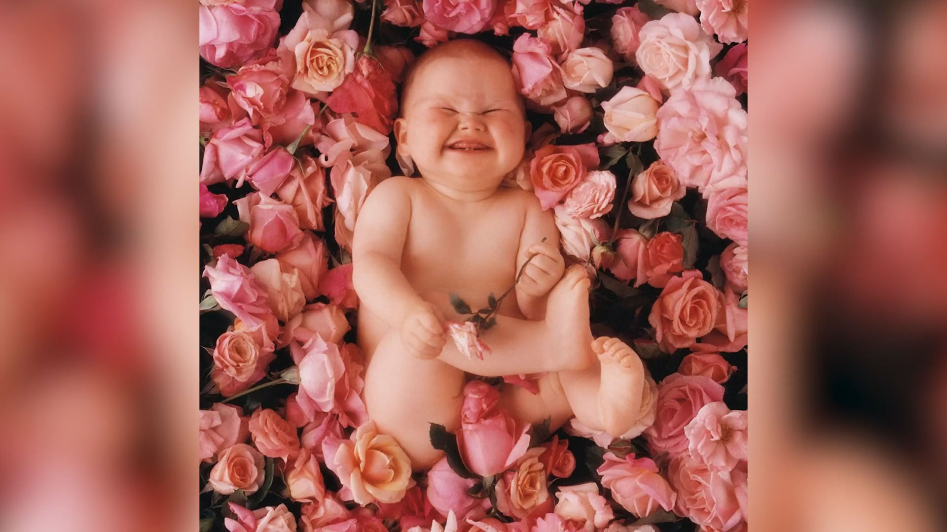 thumbnail Anne Geddes is auctioning off one private shoot to take place in her New York studio, to raise money for mothers and children in Ukraine.
