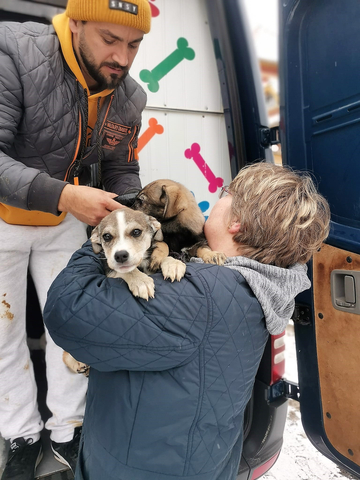 Volunteers from Harmony Fund have rescued hundreds of animals displaced by the conflict in Ukraine. (Photo: Business Wire)