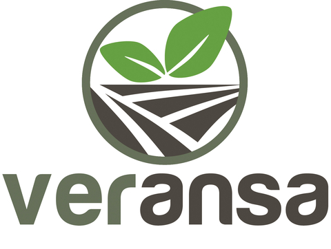 Veransa Group, Inc Logo