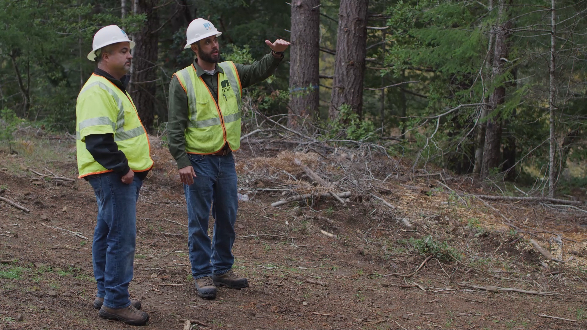 A look at PG&E’s enhanced vegetation management program in Humboldt, California.