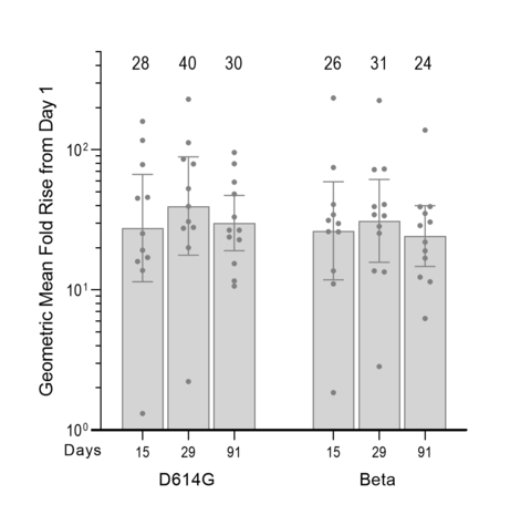 Figure 1: Validated pseudovirus microneutralization (MNT) assay results (left: D614G; right: Beta), showing GMFR levels of neutralizing antibody responses over Day 1 (baseline levels prior to boosting with ARCT-154) calculated with virus neutralization concentrations (with 95% confidence intervals) obtained for participants (for D614G: n = 12/12 for Days 1, 91 and 11/12 for Days 15 29; For Beta: n = 12/12 for Days 1, 29, 91 and 11/12 for Day 15). (Graphic: Business Wire)