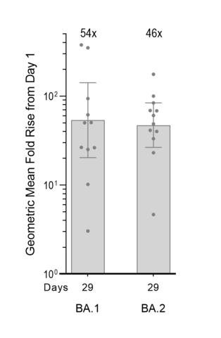 Pseudovirus MNT assay (exploratory assay; Moore Laboratory, National Institute for Communicable Diseases and University of the Witwatersrand, South Africa) showing GMFR levels of neutralizing antibody responses over Day 1 (baseline levels prior to boosting with ARCT-154) calculated using geometric mean concentrations (with 95% confidence intervals) obtained from participants measured at Days 1 and 29 (n = 12/12). (Graphic: Business Wire)