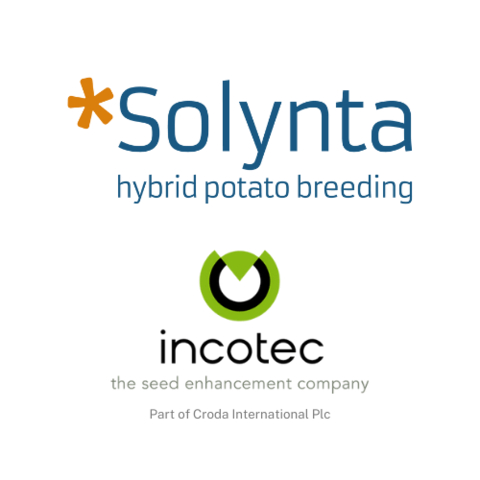 Solynta Logo