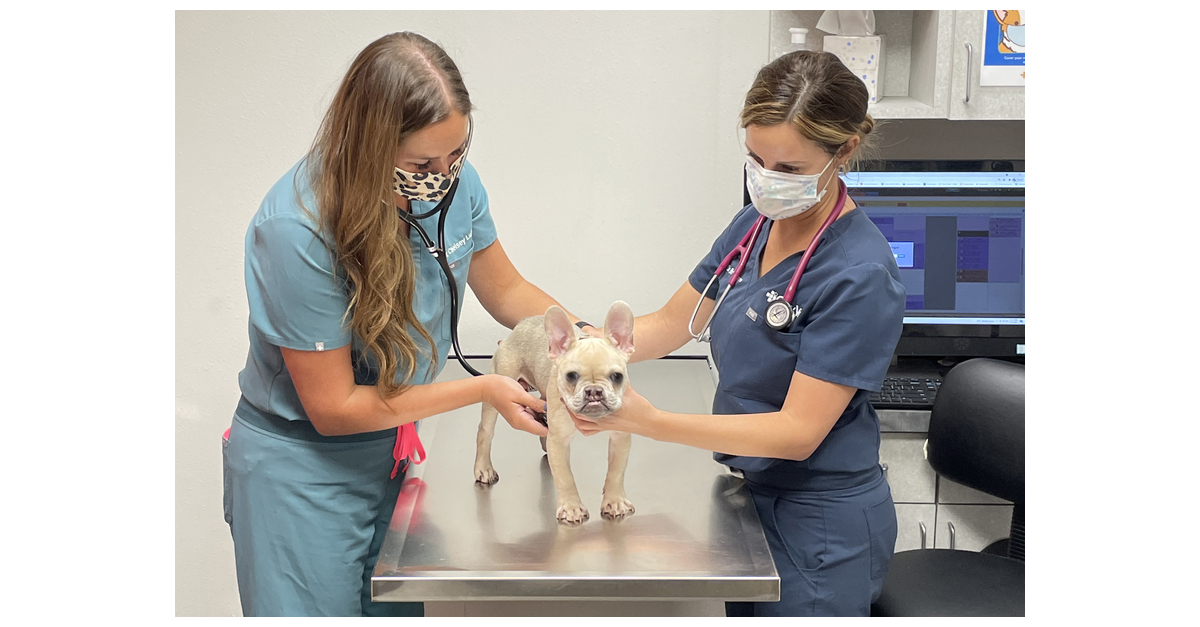 CityVet Signs 6 New Partner/Owner DVMs With Plans For Continued Expansion Into New Markets