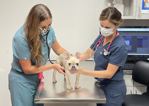 The team at CityVet serves people through exceptional pet care. (Photo: Business Wire)