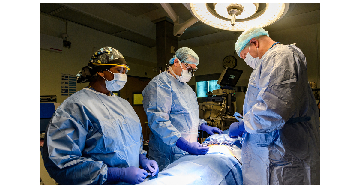 Northwell Hospitals Designated Advanced Spine Centers of Excellence