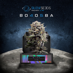 Booba e Silent Seeds annunciano il lancio di un nuovo ceppo di cannabis (THC), la B-45!