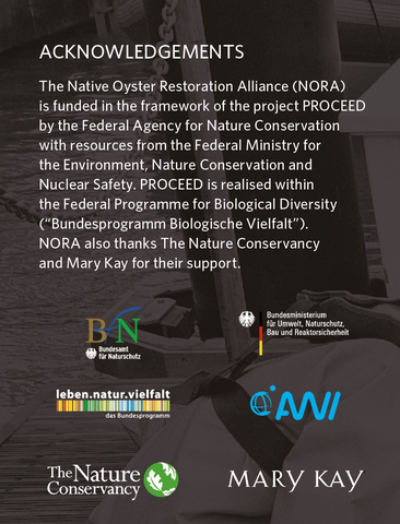 thumbnail Mary Kay Inc. celebrates its partnership with The Nature Conservancy & European partners to support projects that protect biodiversity and marine resources in the UK and Germany. (Graphic: Mary Kay Inc.)