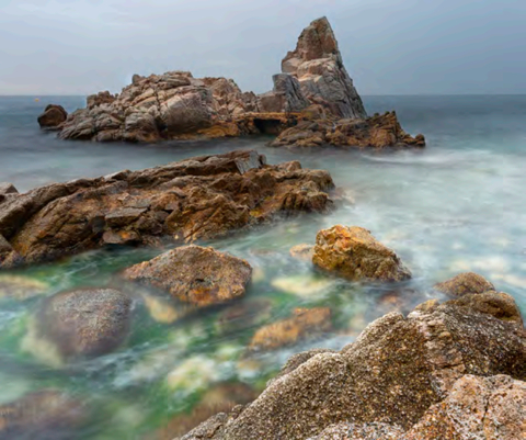 thumbnail A single oyster can filter up to 240 liters of water a day, increasing water quality and clarity. (Photo: Mary Kay Inc.)