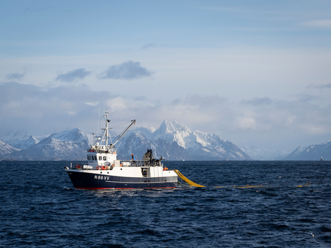 original Norwegian Seafood Council Selects Padilla as U.S. Public Relations AOR (Photo: NSC)