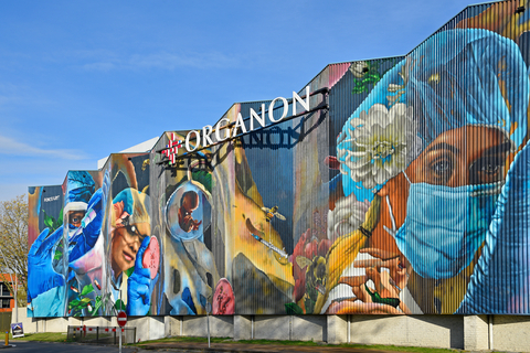 Mural created by RoosArt at Organon's manufacturing site in Oss, Netherlands. (Photo: Organon)