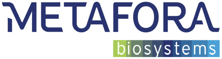 METAFORA Logo