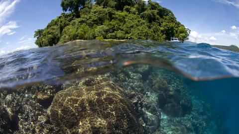 Papua New Guinea ©Mark Godfrey (Photo: Mary Kay Inc.)