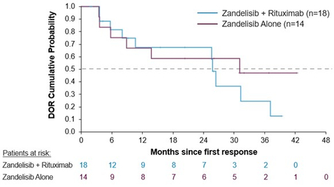 Kaplan-Meier Estimate of Duration of Response (Graphic: Business Wire)