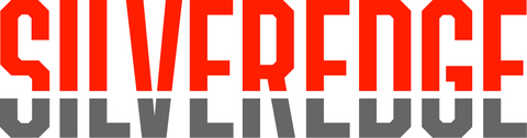 SilverEdge Government Solutions Logo