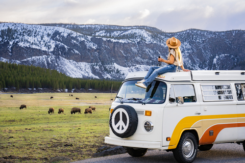 original Where Buffalo Roams (Photo: Business Wire)