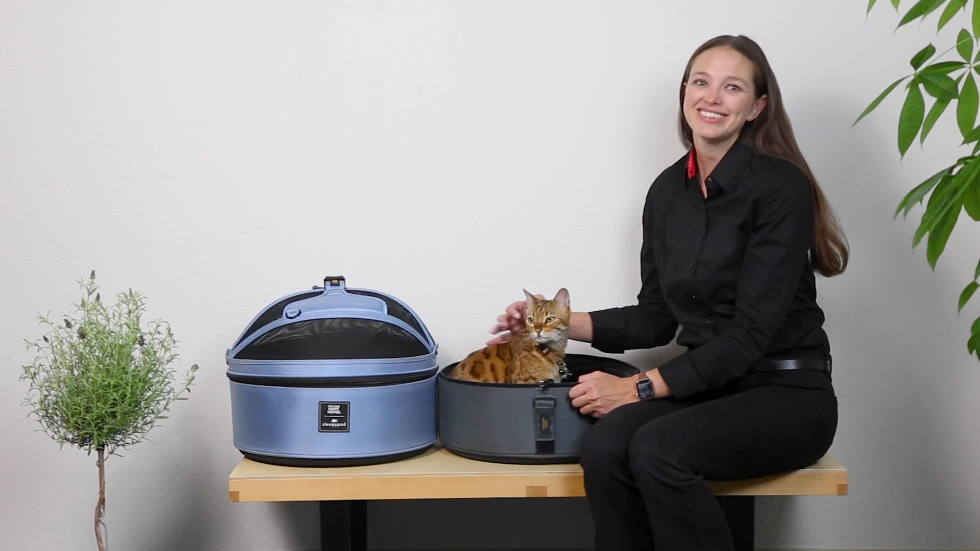 View the features of the Fear Free Happy Homes edition Sleepypod mobile pet bed.