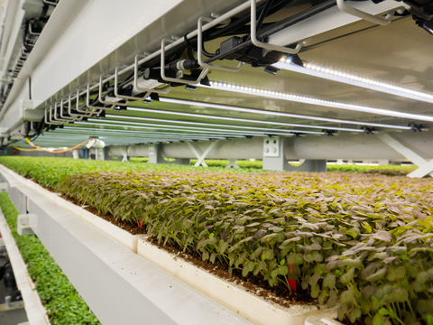 Upward Farms microgreens vertical farm. Harpak-ULMA, the industry leader in smart, connected packaging solutions, announced its collaboration with indoor aquaponic vertical farming company Upward Farms to launch fully automated, scalable packaging operations in support of the company’s rapid growth and expansion plans. (Photo: Business Wire)