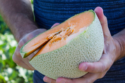 “California cantaloupe growers want people to know these new varieties offer consumers that same great cantaloupe taste they love, along with some extra benefits,” said Garrett Patricio, of Westside Produce, a California melon supplier. (Photo: Business Wire)