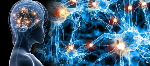 original (Photo: Business Wire)