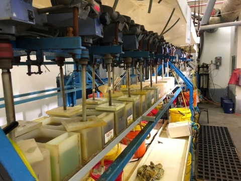 thumbnail Photo 2. Fe Circuit (Photo: Business Wire)