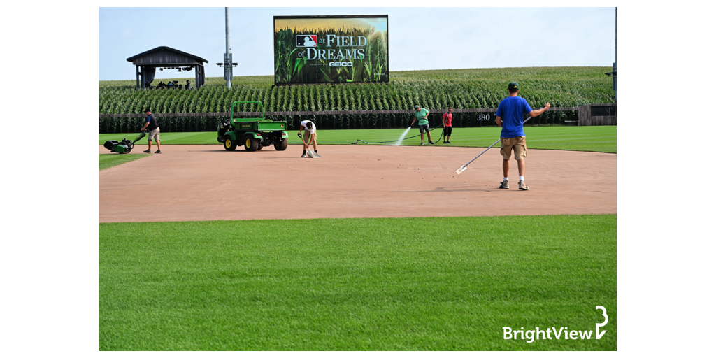 MLB at Field of Dreams ™Corn Stalk # to 25 - Major League