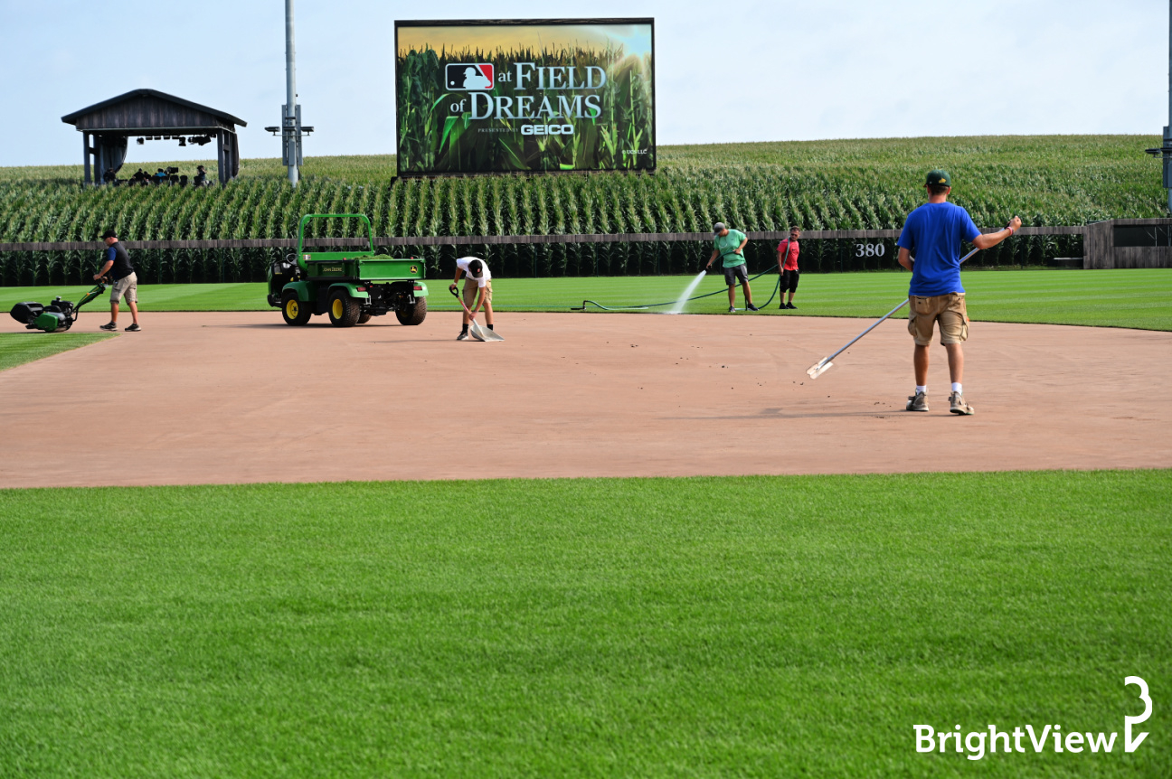 BrightView Prepares for Major League Baseball's Field of Dreams