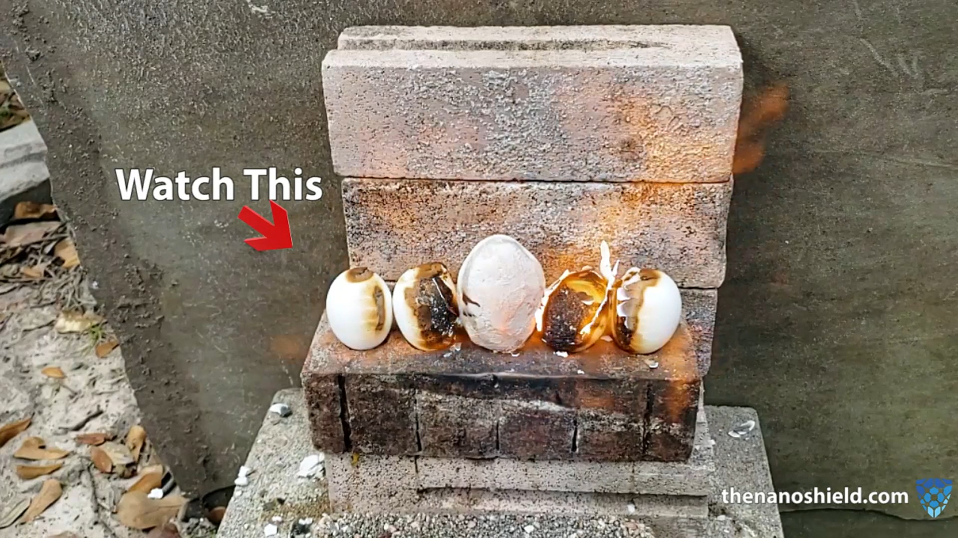 NanoTech's Fireproof Coating Protecting an Egg From a Direct Flame