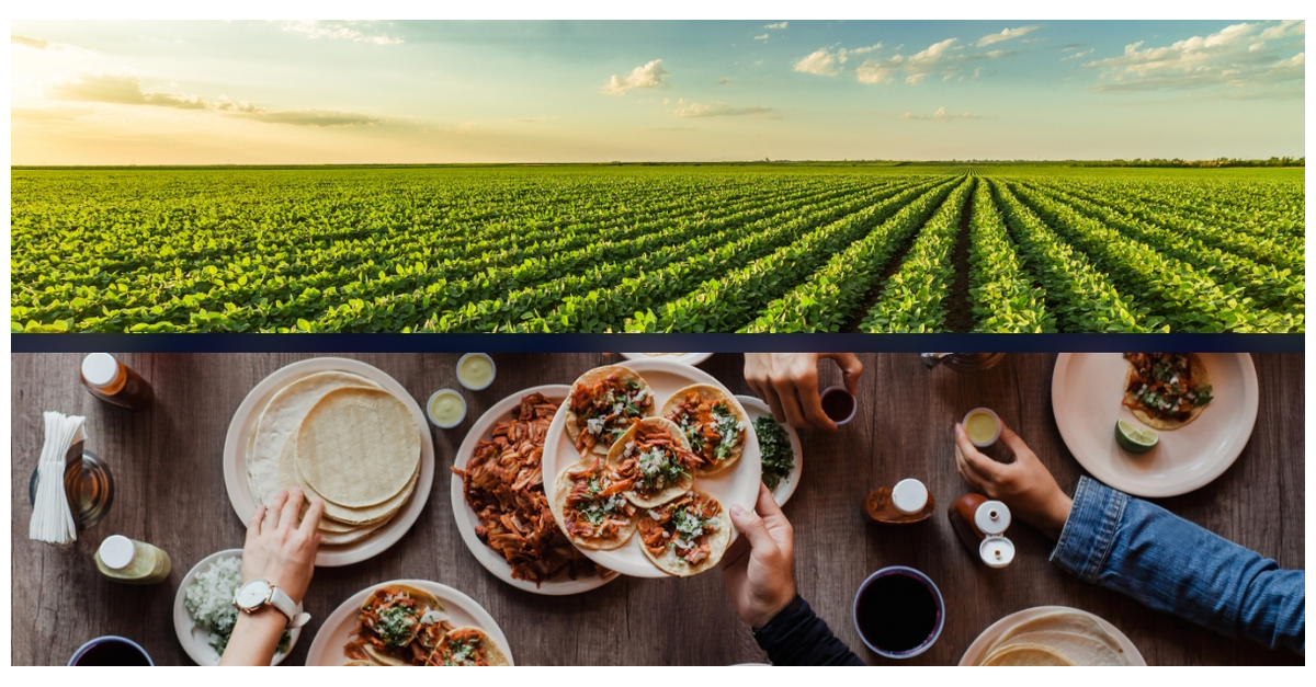 ADM and Benson Hill Partner to Scale Innovative UltraHigh Protein Soy