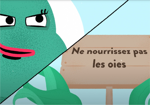 thumbnail (Photo: Business Wire)