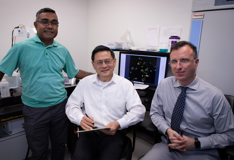 Dr. Monowar Aziz (left), Dr. Ping Wang (middle) and Dr. Max Brenner (right) recently received a $3.8 million grant to study sepsis and radiation. (Credit: Northwell Health)