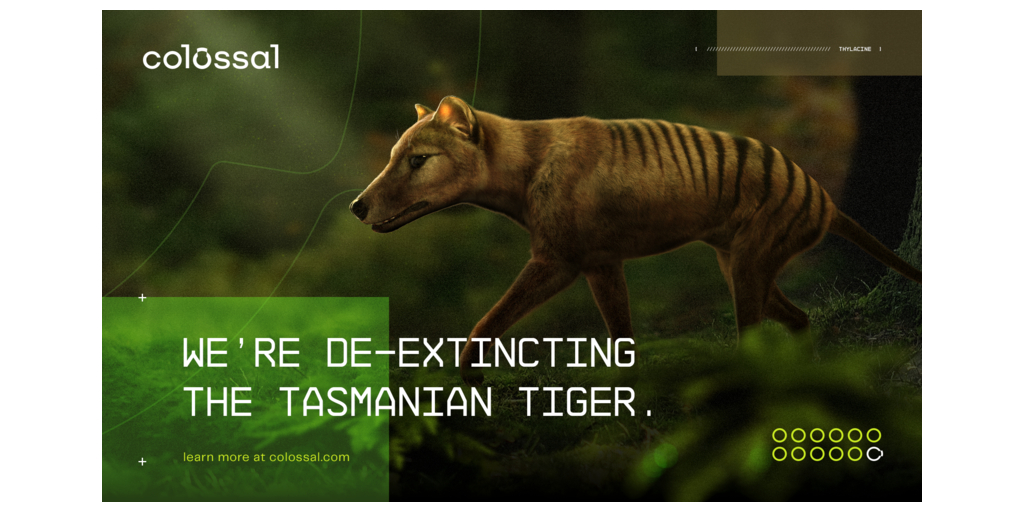 Dallas-Based Colossal Introduces the Tasmania Thylacine Advisory Committee  » Dallas Innovates