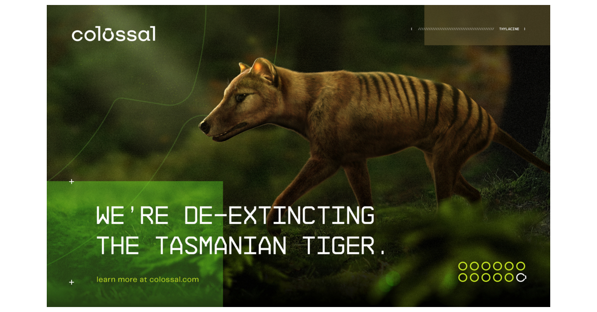 Tasmanian tiger could be de-extinct through major scientific breakthrough
