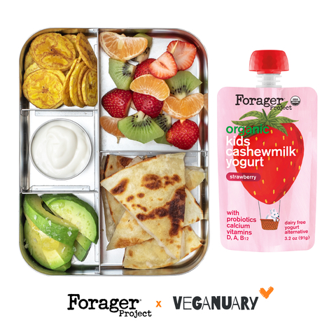 Lunchbox themes make plant-based eating fun! Seen here is the Quesadilla Bento Box with Forager Project®'s new Kids Cashewmilk Yogurt that's a perfect any-time snack. (Photo: Business Wire)