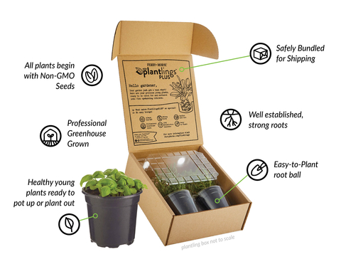 Ferry-Morse Keeps the Garden Growing with Return of Popular Fall Plantlings™ Line (Photo: Business Wire)