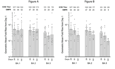 Exploratory pseudovirus microneutralization (MNT) assay results (left: BA.1, middle: BA.2, right: BA.5), showing geometric mean fold rise (GMFR) levels of neutralizing antibody responses over Day 1 (baseline levels prior to boosting with 5 mcg ARCT-154) calculated with virus neutralization concentrations (with 95% C.I.) obtained for n=12 participants at days 29 and 91. In Figure A, three participants were removed from the day 181 analysis (n=9, day 181): two participants received off-study vaccines during the period between day 91 and day 181, and one participant has a confirmed COVID-19 diagnosis with mild symptoms during this same period. In Figure B, three additional participants with suspected asymptomatic seroconversion were removed from the day 181 analysis (n=6, day 181). Neutralizing antibody responses against Omicron variants BA.1, BA.2, and BA.5 were measured at the Moore Lab in South Africa. (Graphic: Business Wire)