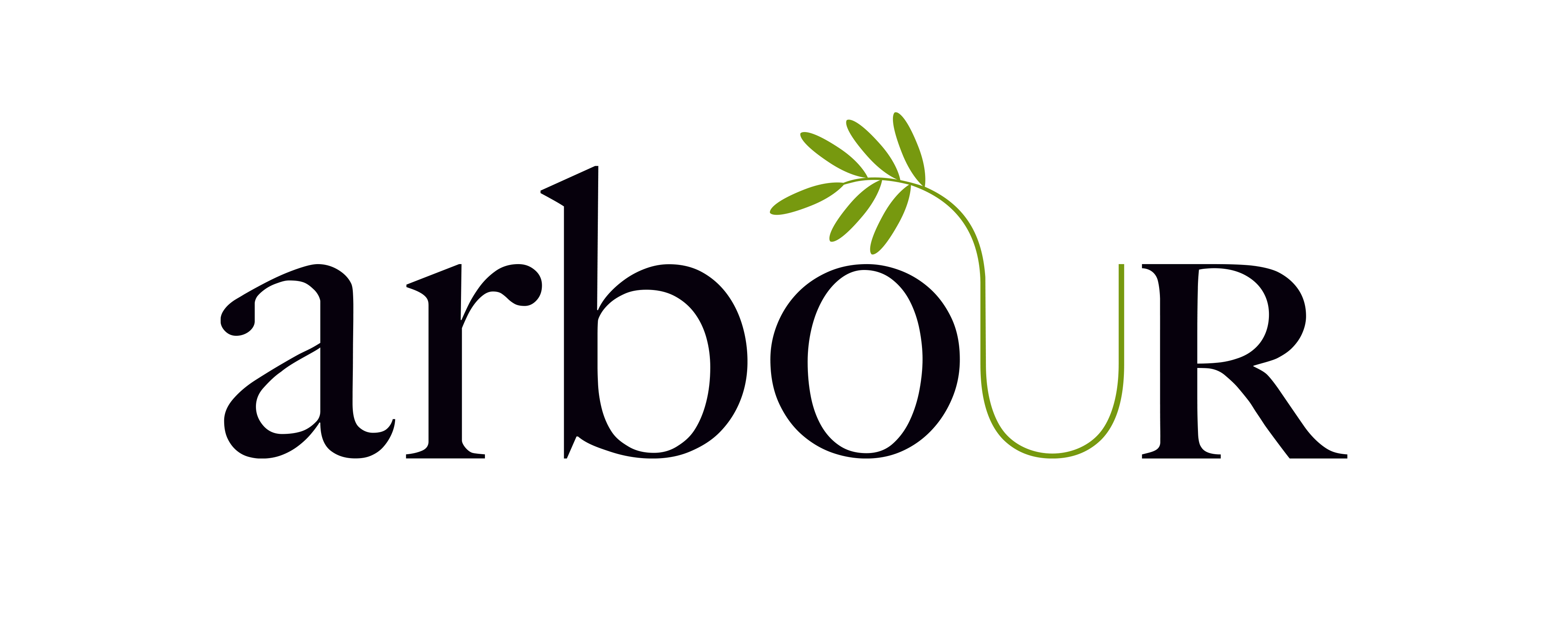 Stain Remover  Strong on Stains, Gentle on Fabrics – arbOUR