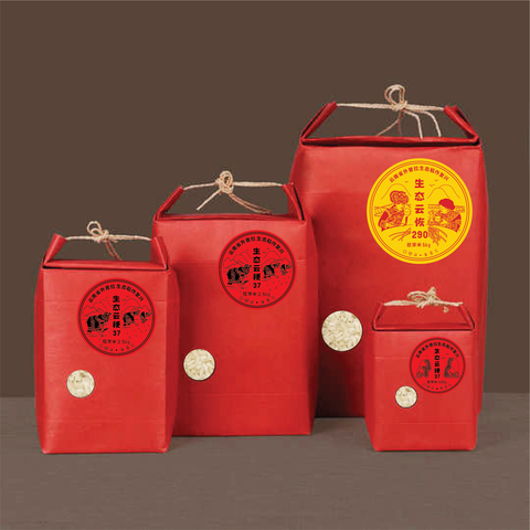 thumbnail Based on the concept of permaculture sustainable design, a farm of more than 15 acres was created and Waipula women were trained in sustainable farming practices. With UNDP’s strong suggestion to replace tobacco cultivation with organic rice, Waipula’s organic rice is being sold on e-commerce platforms with sales reaching RMB 220,000 in 2021. (Photo: Courtesy of Waipula Villagers)