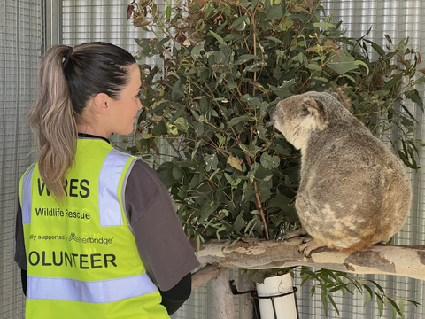 Everbridge Marks Three Years of Supporting Australia's Largest Wildlife Rescue Organisation (Photo: Business Wire)