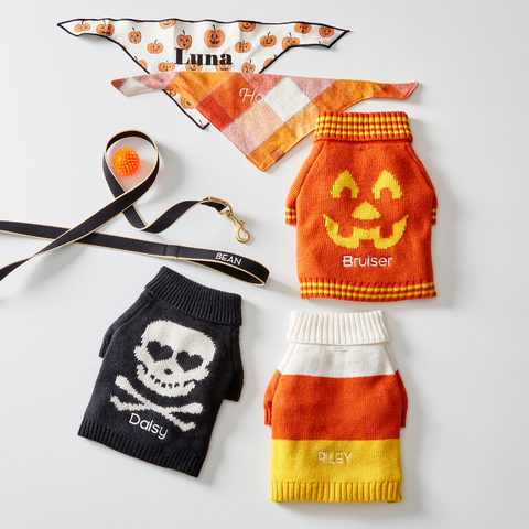 Mark & Graham Personalized Halloween Dog Sweaters (Photo: Williams Sonoma)