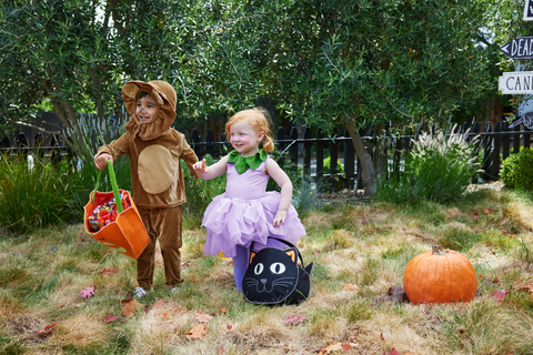 Pottery Barn Kids Costumes (Photo: Williams Sonoma)