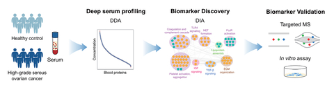 original Discovery process of high-grade serous ovarian cancer (HGSOC) biomarker candidates (Graphic: Business Wire)
