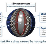 NaNotics_Overview.jpg