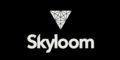 Space Compass y Skyloom celebran un acuerdo para ofrecer servicios de retransmisión de datos ópticos al mercado de observación de la Tierra